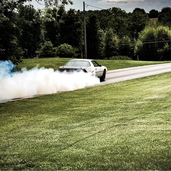 Meet your Posher, Trish - Picture 10 of 11